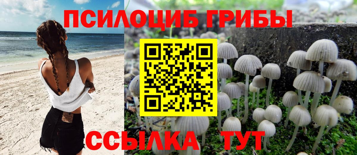 Галлюциногенные грибы прущие грибы Зерноград