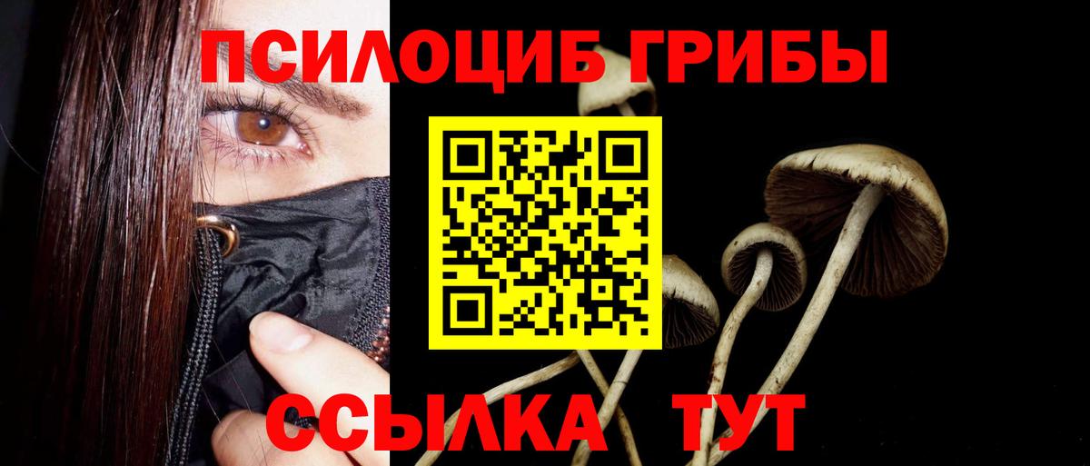 Галлюциногенные грибы MAGIC MUSHROOMS  Вход с VPN  закладка  Псилоцибиновые грибы прущие грибы  Зерноград 