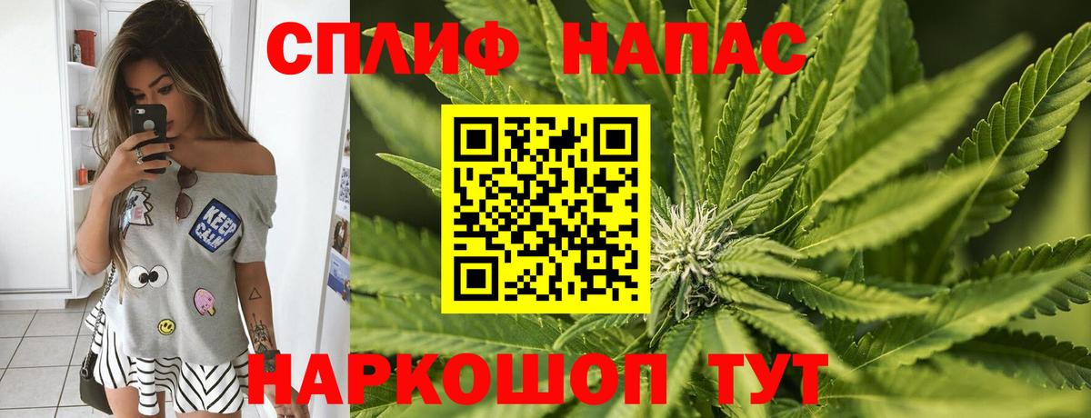Зерноград  Каннабис гибрид  Вход с VPN  МАРИХУАНА гибрид  Каннабис конопля  Конопля индика 
